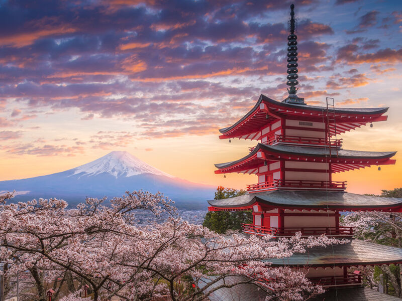 Elegant Japonya Turu - All Nippon - (HND - HND)
