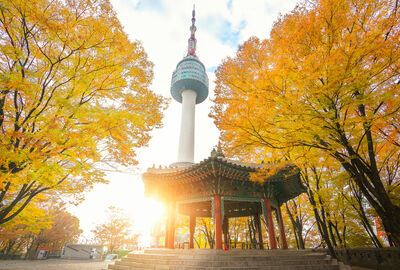 Elegant Japonya Turu - All Nippon - (HND - HND)