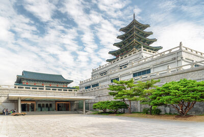 Elegant Japonya Turu - All Nippon - (HND - HND)