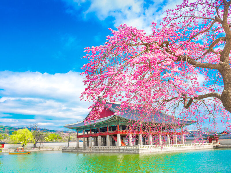 Elegant Japonya Turu - All Nippon - (HND - HND)