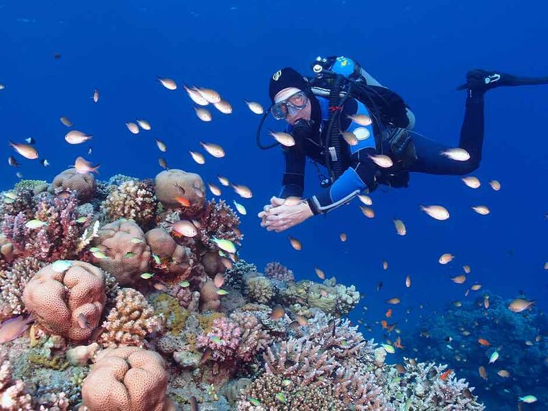 MAXI HER ŞEY DAHİL  SHARM EL SHEIKH TURU Pegasus Havayolları ile 5 gece