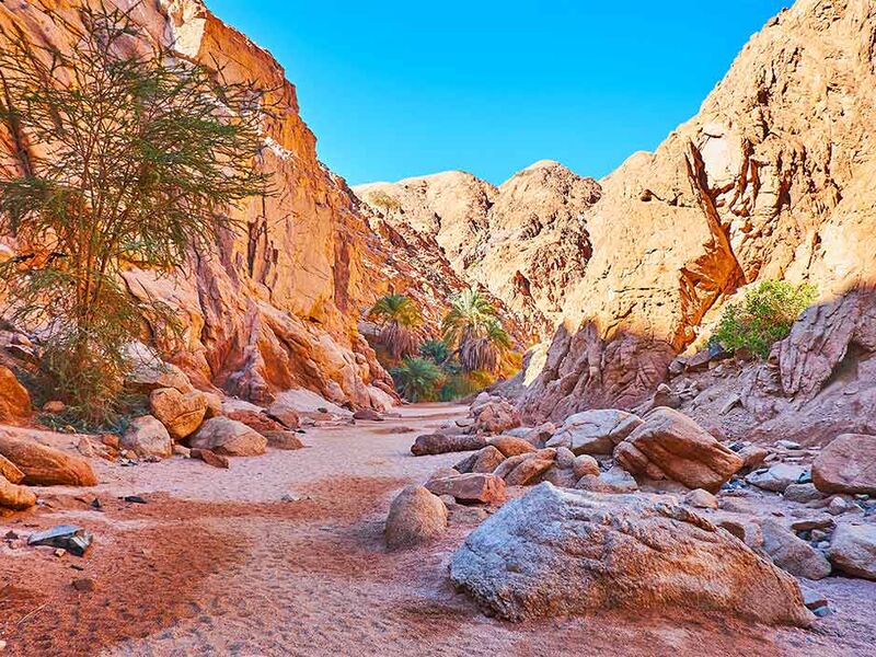 İZMIR'DEN EKSTRA TURLAR DAHIL SHARM EL SHEIKH TURU SunExpress Havayolları ile 3 gece