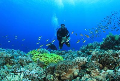 Kahire Sharm El Sheikh Turu Ajet Havayolları ile 7 Gece Kahire Şehir Gezisi Dahil