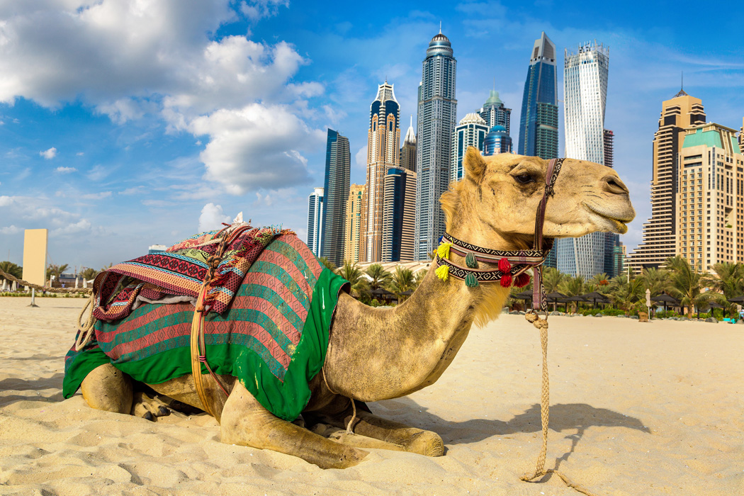 EKSTRA TURLAR DAHİL DUBAİ TURU Türk Hava Yolları ile 4 gece