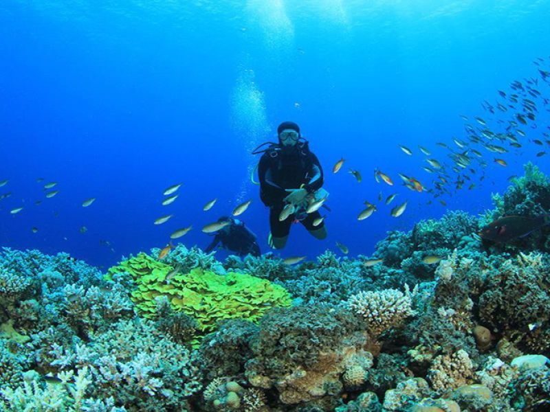 Sharm El Sheikh Turu Kurban Bayramı Özel Türk Havayolları ile 5 Gece 6 Gün (25-30 Mayıs)