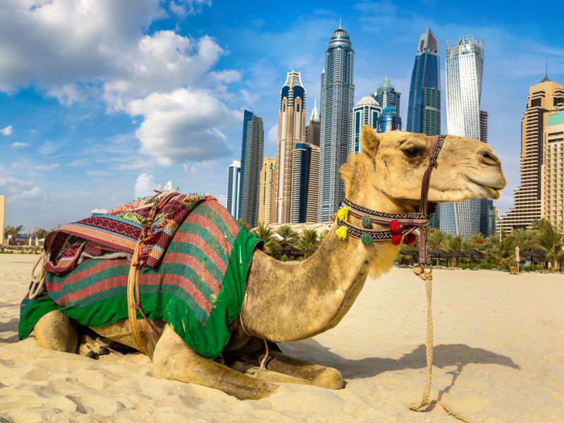 Görkemli Dubai & Lüksün Başkenti 3 Gece - Pegasus Hava Yolları  ile (2026 İlkbahar - Yaz Dönemi) - Cumartesi Hareket 