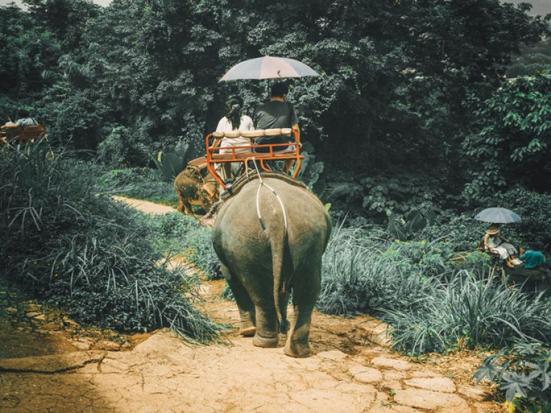 Görkemli Tayland'ın İncileri 6 Gece - Türk Hava Yolları ile 2026 Kış Dönemi Kış Dönemi