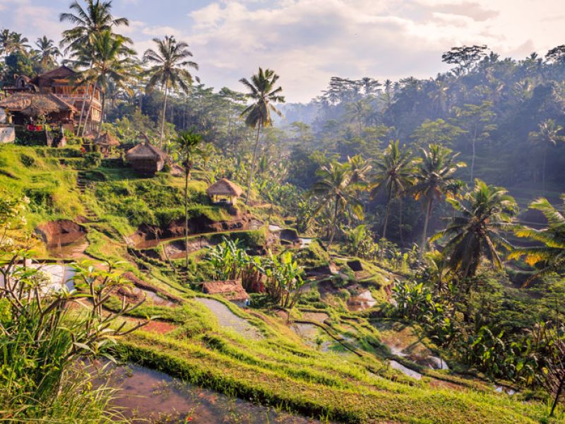 Görkemli Tropikal Ada Bali Turu Singapur Havayolları ile 5 Gece 8 Gün (2026 Kış Dönemi)