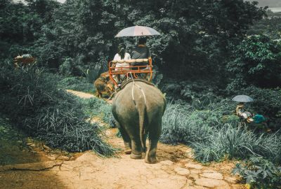 Elegant Bangkok & Phuket & Pattaya Turu 6 gece Türk Havayolları ile (BKK-BKK)