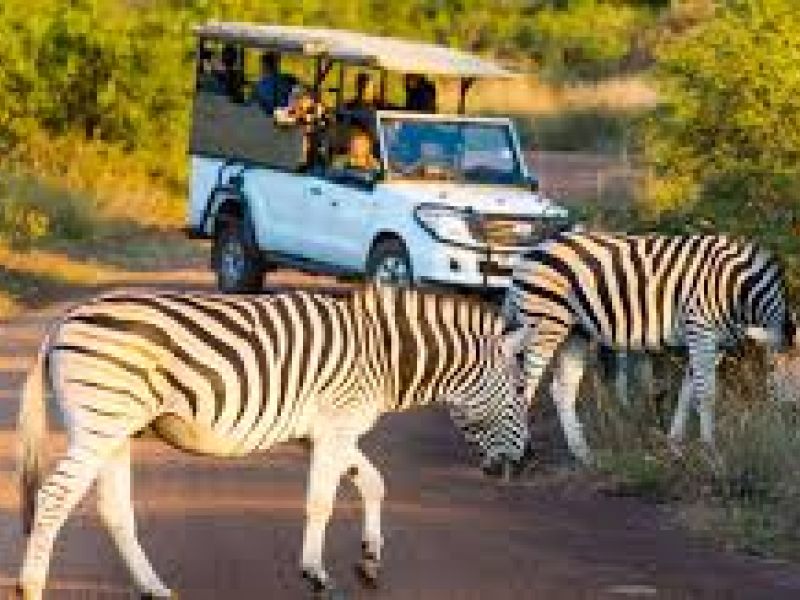 Görkemli Güney Afrika ve Safari 7 Gece Türk Hava Yolları ile 19 Mart Hareketli (Ramazan Bayramı Özel) (CPT - JNB) 