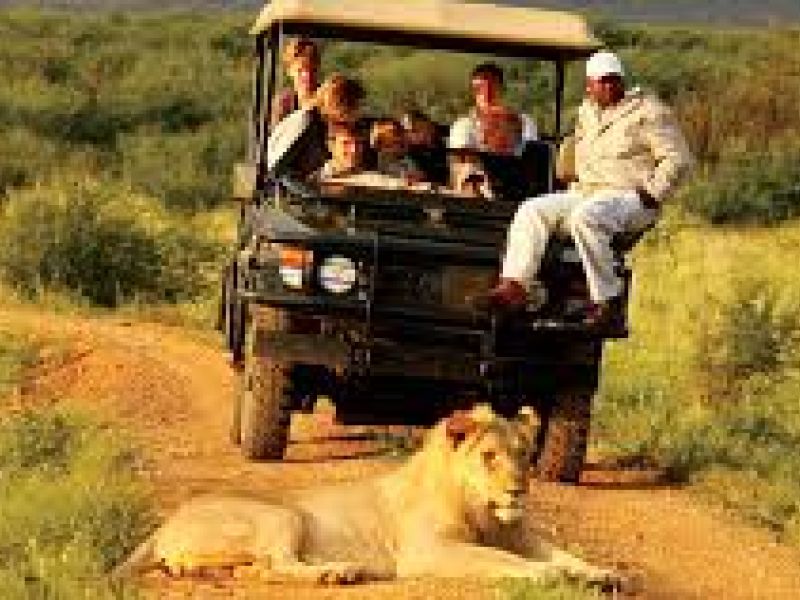 Görkemli Güney Afrika ve Safari 7 Gece Türk Hava Yolları ile 19 Mart Hareketli (Ramazan Bayramı Özel) (CPT - JNB) 