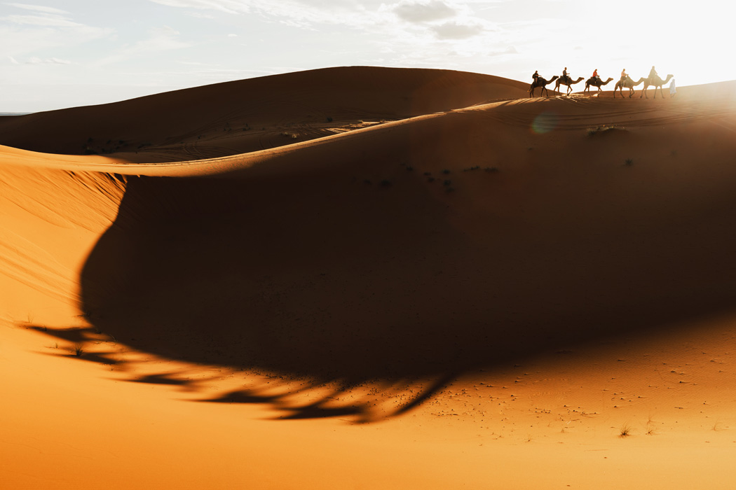 Bir Dubai Masalı Turu