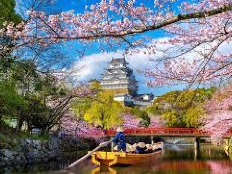 * VİZESİZ * - DIAMOND PRINCESS İLE UZAKDOĞUNUN İNCİSİ JAPONYA & GÜNEY KORE - KURBAN BAYRAMI - 2026