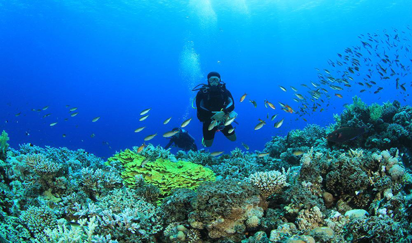 Kahire Sharm El Sheikh Turu Ajet Havayolları ile 7 Gece Kahire Şehir Gezisi Dahil