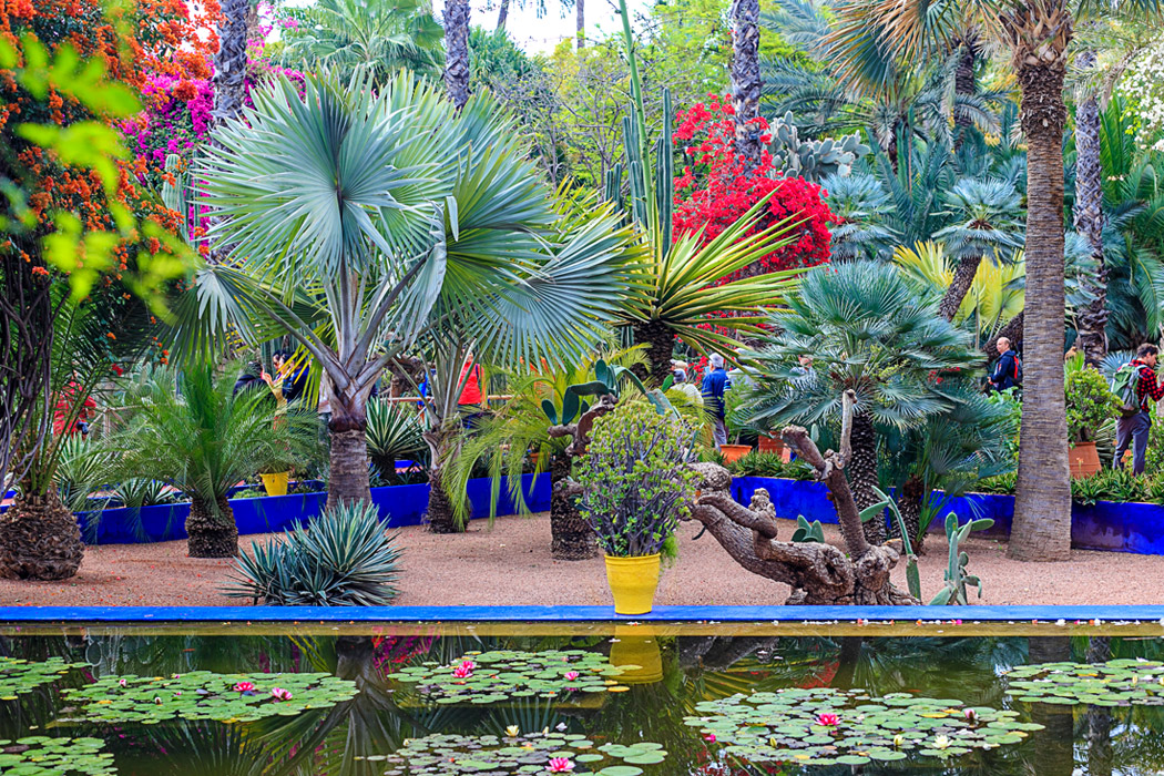 Görkemli Fas Krallığı ve Mistik Şehirler 6 Gece - Air Arabia Hava Yolları ile (2026 Kış Dönemi) 