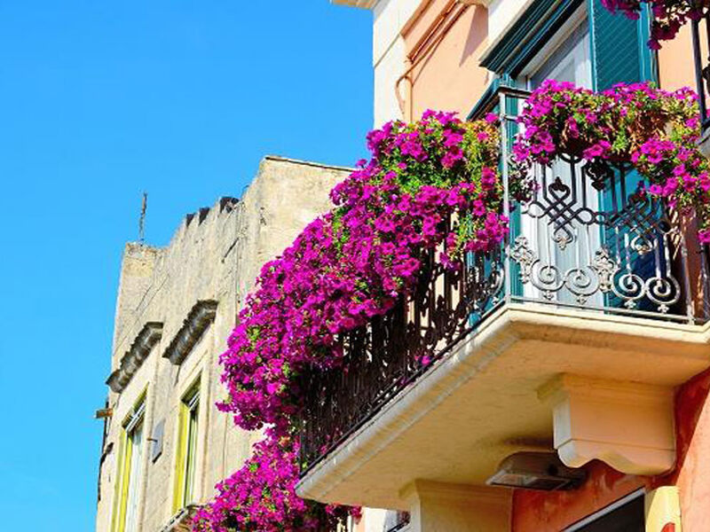 İtalya İkonları Turu Pegasus Havayolları ile 4 Gece 5 Gün BGY-FCO IS001