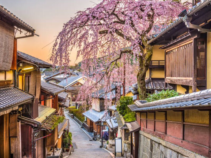 KLASİK JAPONYA & GÜNEY KORE